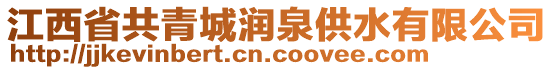 江西省共青城潤泉供水有限公司