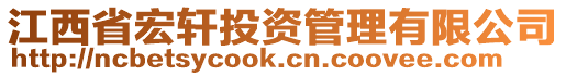 江西省宏軒投資管理有限公司