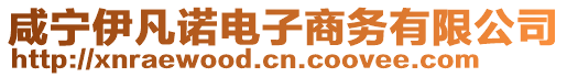 咸寧伊凡諾電子商務(wù)有限公司