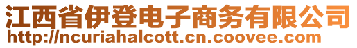 江西省伊登電子商務(wù)有限公司