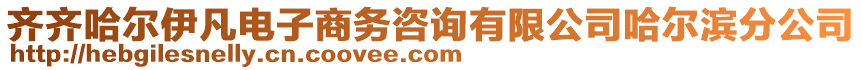 齊齊哈爾伊凡電子商務(wù)咨詢有限公司哈爾濱分公司