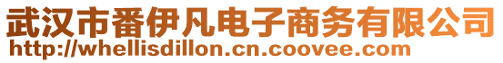 武漢市番伊凡電子商務(wù)有限公司