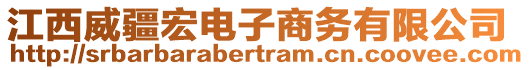 江西威疆宏電子商務有限公司