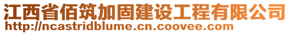 江西省佰筑加固建設(shè)工程有限公司