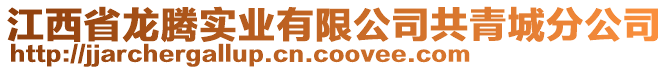 江西省龍騰實業(yè)有限公司共青城分公司