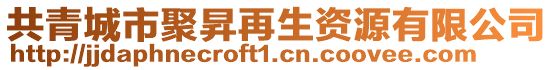 共青城市聚昇再生資源有限公司