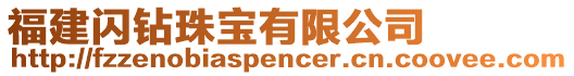 福建閃鉆珠寶有限公司