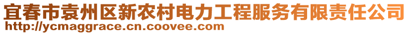 宜春市袁州區(qū)新農村電力工程服務有限責任公司