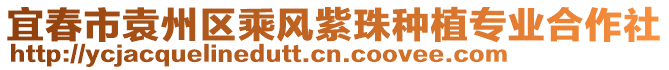 宜春市袁州區(qū)乘風(fēng)紫珠種植專業(yè)合作社