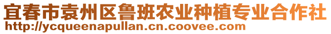 宜春市袁州區(qū)魯班農(nóng)業(yè)種植專業(yè)合作社