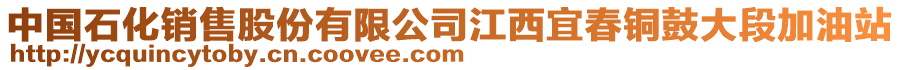 中國(guó)石化銷(xiāo)售股份有限公司江西宜春銅鼓大段加油站