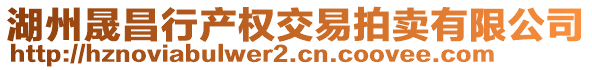 湖州晟昌行產(chǎn)權(quán)交易拍賣(mài)有限公司