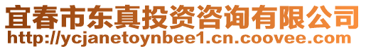 宜春市東真投資咨詢有限公司