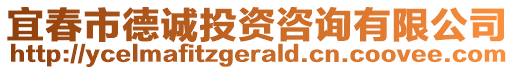 宜春市德誠投資咨詢有限公司