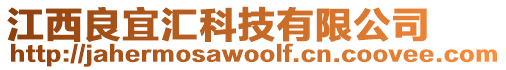 江西良宜匯科技有限公司