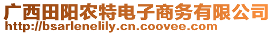 廣西田陽農(nóng)特電子商務(wù)有限公司