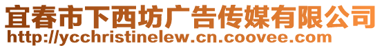 宜春市下西坊广告传媒有限公司