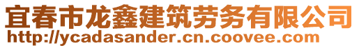 宜春市龍鑫建筑勞務(wù)有限公司