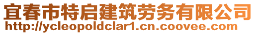 宜春市特啟建筑勞務(wù)有限公司