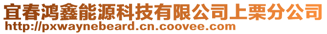 宜春鴻鑫能源科技有限公司上栗分公司