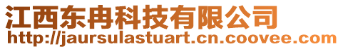 江西東冉科技有限公司