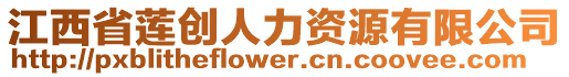 江西省蓮創(chuàng)人力資源有限公司