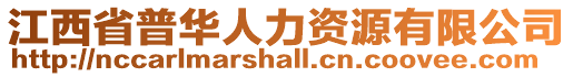 江西省普華人力資源有限公司