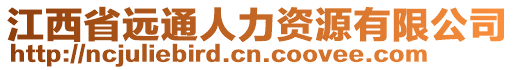 江西省遠通人力資源有限公司