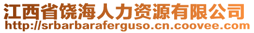 江西省饒海人力資源有限公司