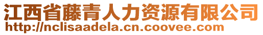 江西省藤青人力資源有限公司