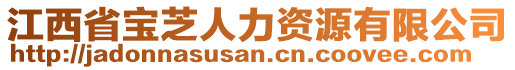 江西省寶芝人力資源有限公司