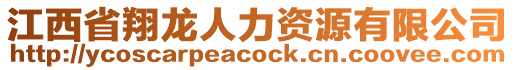 江西省翔龍人力資源有限公司