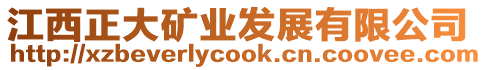 江西正大礦業(yè)發(fā)展有限公司