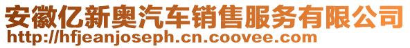 安徽億新奧汽車(chē)銷(xiāo)售服務(wù)有限公司