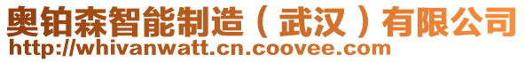 奧鉑森智能制造（武漢）有限公司