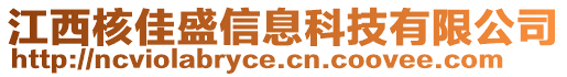 江西核佳盛信息科技有限公司