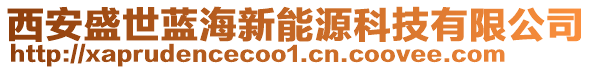 西安盛世藍(lán)海新能源科技有限公司