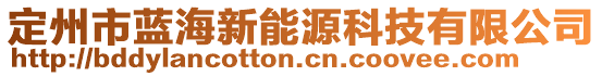 定州市藍(lán)海新能源科技有限公司