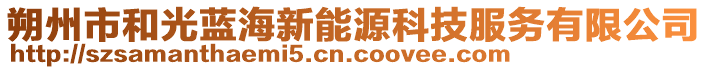 朔州市和光藍(lán)海新能源科技服務(wù)有限公司