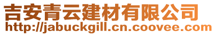 吉安青云建材有限公司