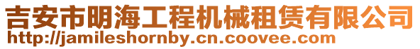 吉安市明海工程機(jī)械租賃有限公司