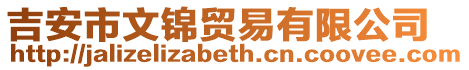 吉安市文錦貿(mào)易有限公司