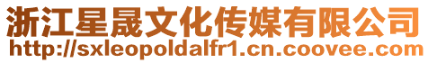 浙江星晟文化傳媒有限公司