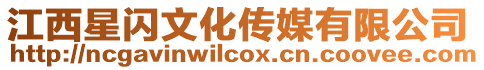 江西星閃文化傳媒有限公司