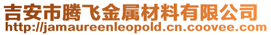 吉安市騰飛金屬材料有限公司