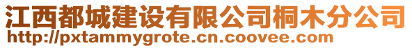 江西都城建設(shè)有限公司桐木分公司