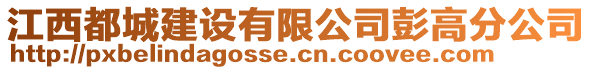 江西都城建設(shè)有限公司彭高分公司