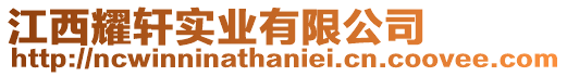 江西耀軒實業有限公司