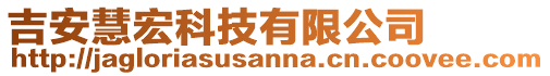 吉安慧宏科技有限公司