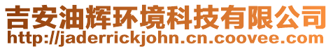 吉安油輝環境科技有限公司